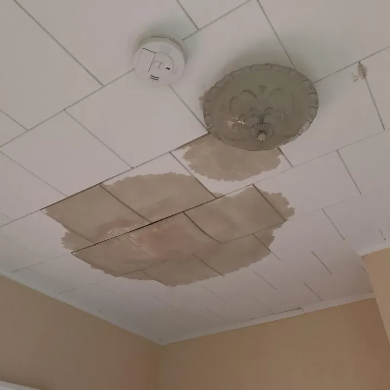 Ceiling Water Damage Repair in Claymont, DE